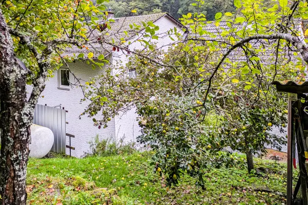 PLATZHALTER der Immobilie: Die Natur vor der Haustür - Grundstück mit tollem Bli...