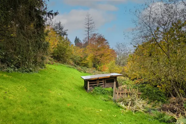 Ansicht Garten der Immobilie: Selbermacher aufgepasst: Haus mit großem, naturnah...